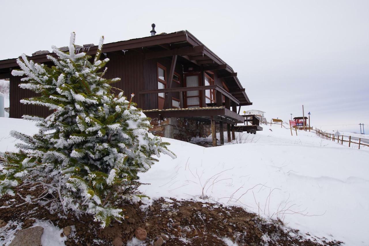 El Colorado Bungalows Kültér fotó